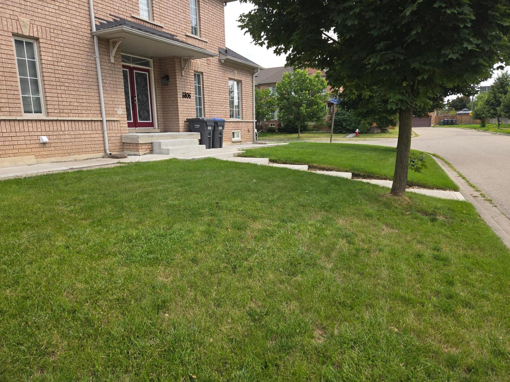 4 Bedrooms 4 Baths Complete Home In Churchill Meadows, Mississauga Exterior photo